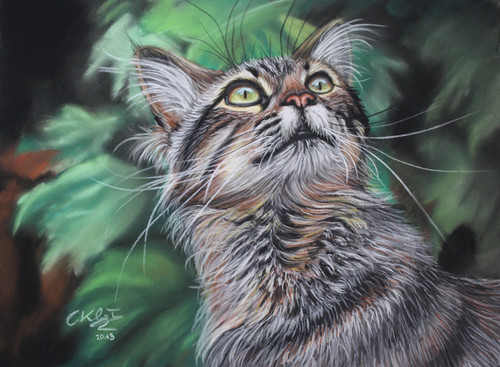 Original pastel painting cat - pastel,