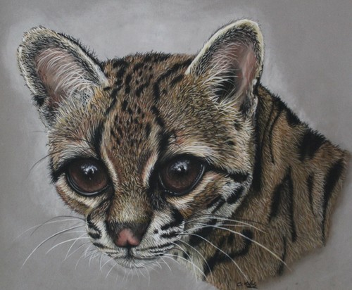 Original pastel painting - pastel,