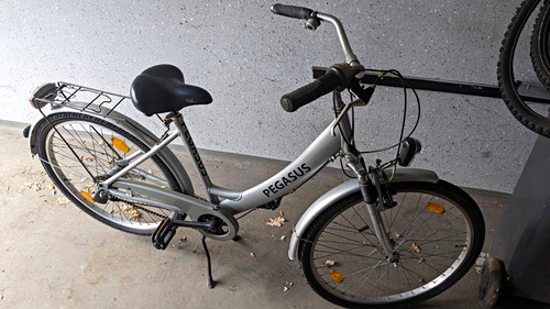 Pegasus city bike - pegasus,