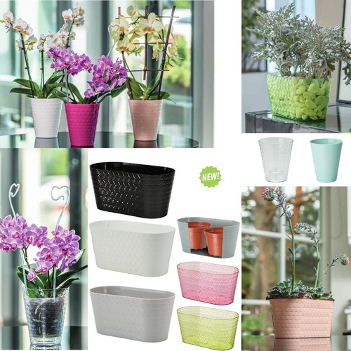 Orchideentopf übertopf - orchideentopf,
