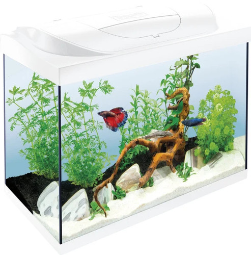 Tetra aquarium starter line - tetra,