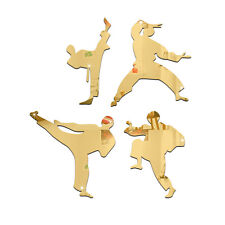 Sport Fussball Kung Fu Spiegel