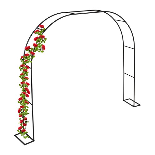 Rosenbogen blumenbogen - rosenbogen,