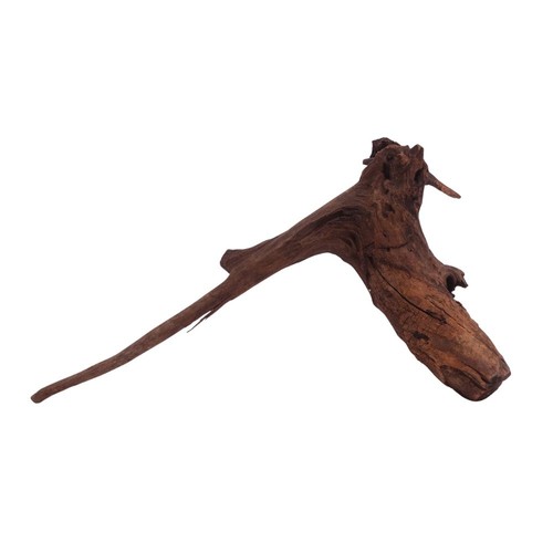 Driftwood flußwurzel - driftwood,