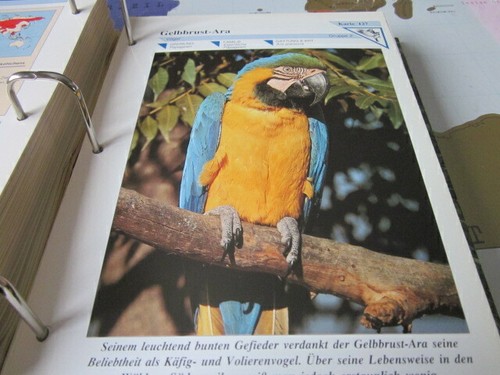 Tierbilder gruppe k127 - tierbilder, 2