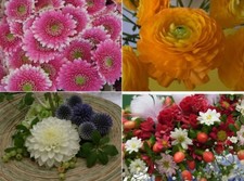 3 D Ansichtskarte Blumen Blume