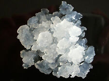 Kontrollierter Betrieb