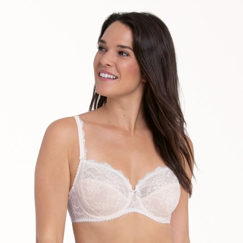 Rosa faia bobette bügel - faia,