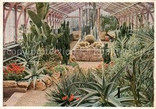 Bad Cannstatt Partie aus dem unteren Kakteenhaus der Wilhelma