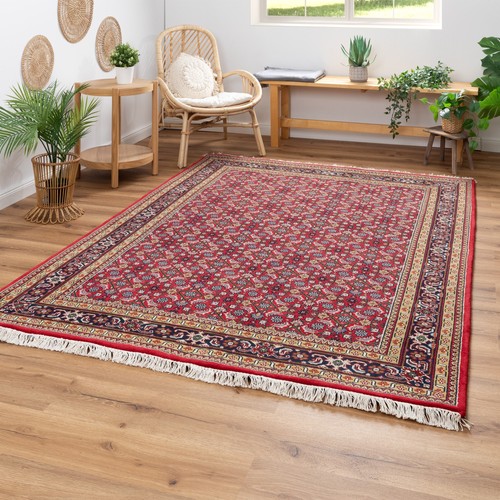Steffensmeier orientteppich - steffensmeier,