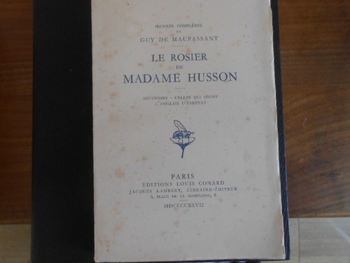 Rosier madame husson - rosier,