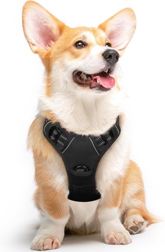 Hundegeschirr für große