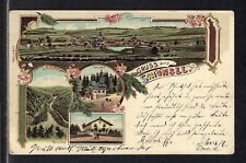 Farb - Litho Schönsee im