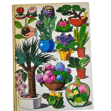 Der Zimmergärtner - Das