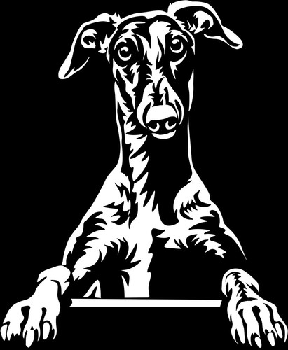 Greyhound galgo aufkleber - aufkleber,