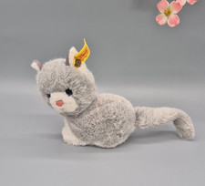 Katze🐱mit blauen Augen von