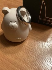 Edelstahlring von Ernstes