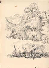 Sehr schöne Konrad Sommer Federzeichnung , Waldlichtung