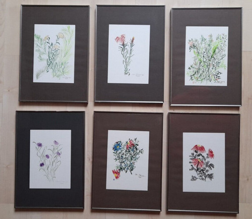 Stück aquarelle h rinx - in, b+h