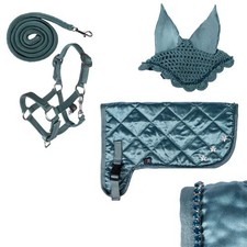 Glitzer Satteldecke mit