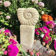 Ammonit auf säule - säule:, massiver
