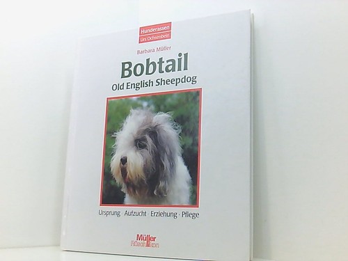 Bobtail old english sheepdog - bobtail,