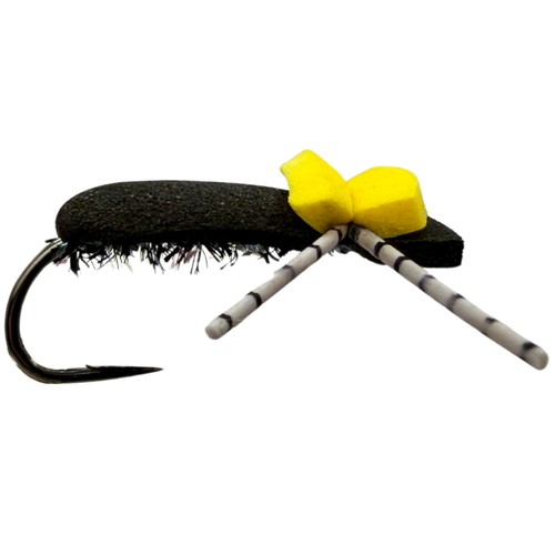 Indicator foam beetle - indicator,