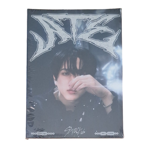 Stray kids 9th - kids,