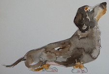 Dackel hund aquarell - dackel,
