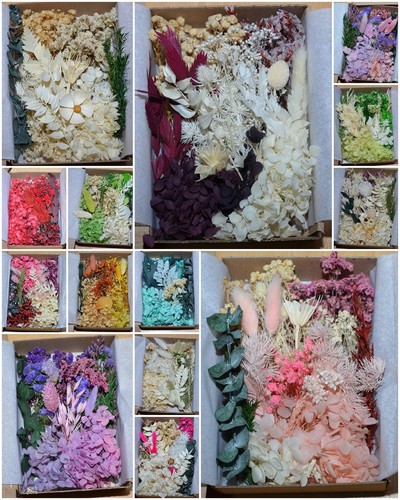Trockenblumenbox getrocknete