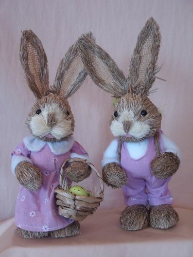 Hase oder häsin rosa - hase,