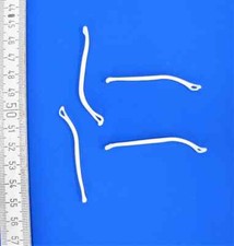 Penisknochen Steinmarder