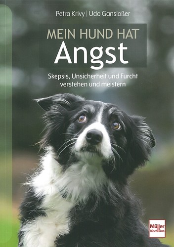 Krivy mein hund - hat, angst