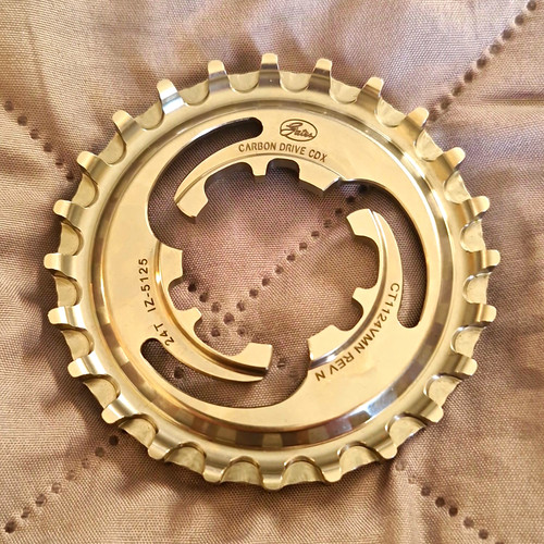 Gates carbon drive cdx ritzel - drive,