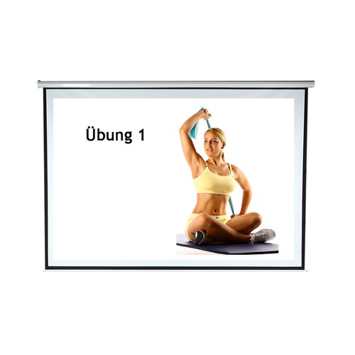 Beamerleinwand 244x182cm motor - 244x182cm,