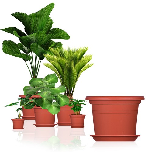 Blumentopf mit untersetzer - 5x,
