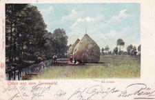 Bahnpost BERLIN - LAUBAN