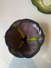 Made In South Africa Senfsamen