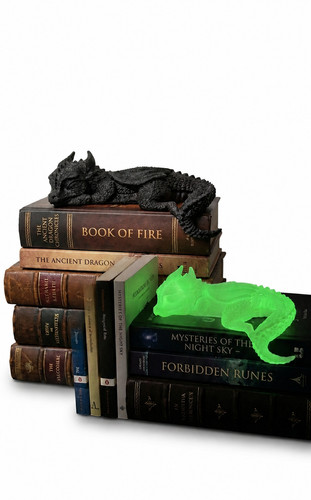 Bücherregal drache fourth - bücherregal,