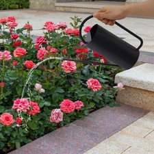 Edelstahl-Gießkanne