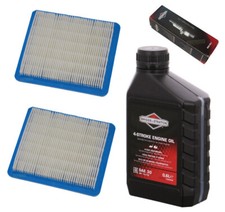 Zündkerze + Filter + Rasenmäheröl für Briggs & Stratton B&S Quantum 625 650 675