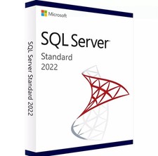 SQL Server 2022 Standard Unlimited Cores & Unlimited CALs | Versand am selben Tag
