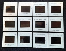 Color DIA-Serie Krim, Sotschi, Batumi, Jalta, M/S Pobeda 12/12 Novosti Press