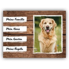 Golden Retriever Schild -