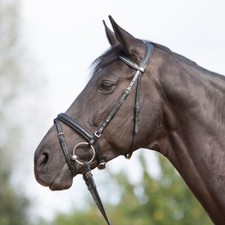 Kieffer trensenzaum - kieffer,