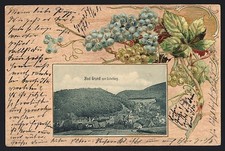 Präge-AK Bad Grund, Blick vom