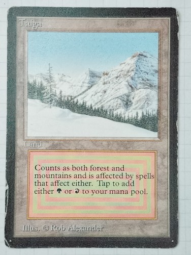 Taiga beta dual - beta, land