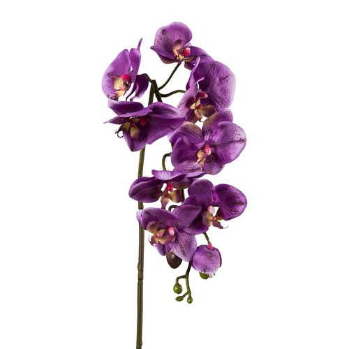 Kunstblume phalenopsis - kunstblume,