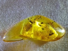 Baltischer, Natur Bernstein