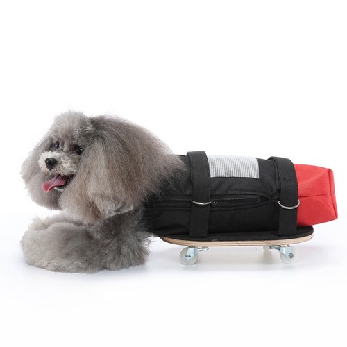 Pet disabled walking - pet,